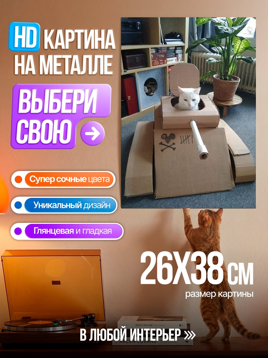 Картина на металле Кот в танке