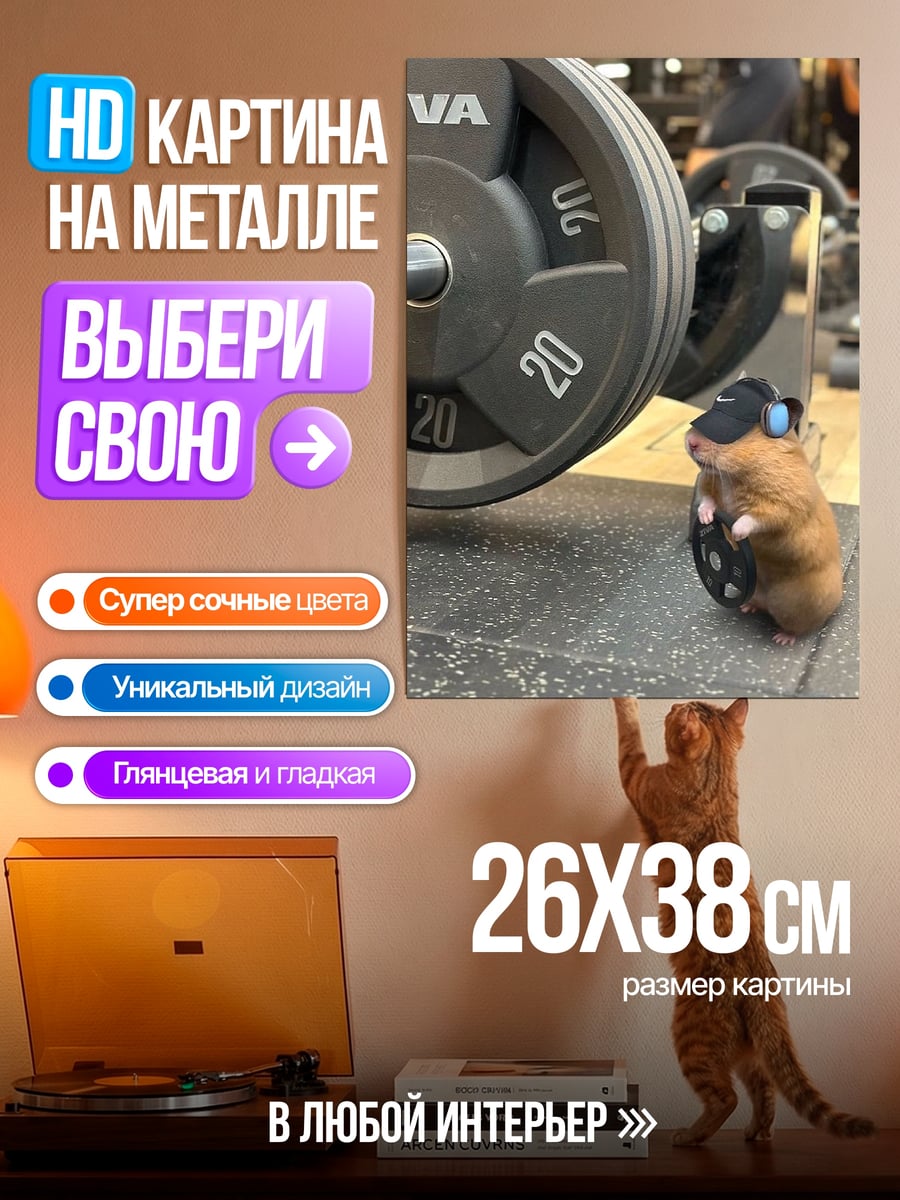 Картина на металле Хомяк в спортзале