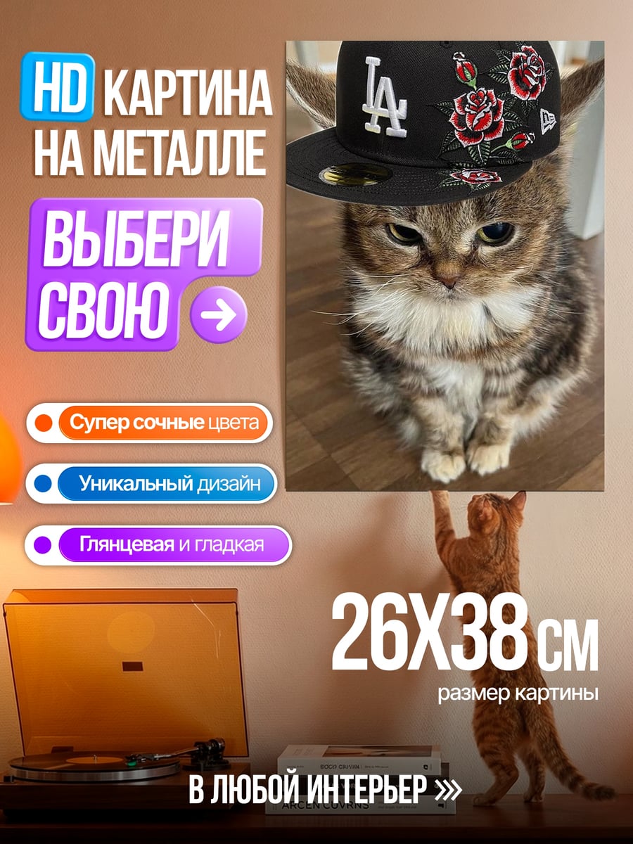 Картина на металле Кот в кепке