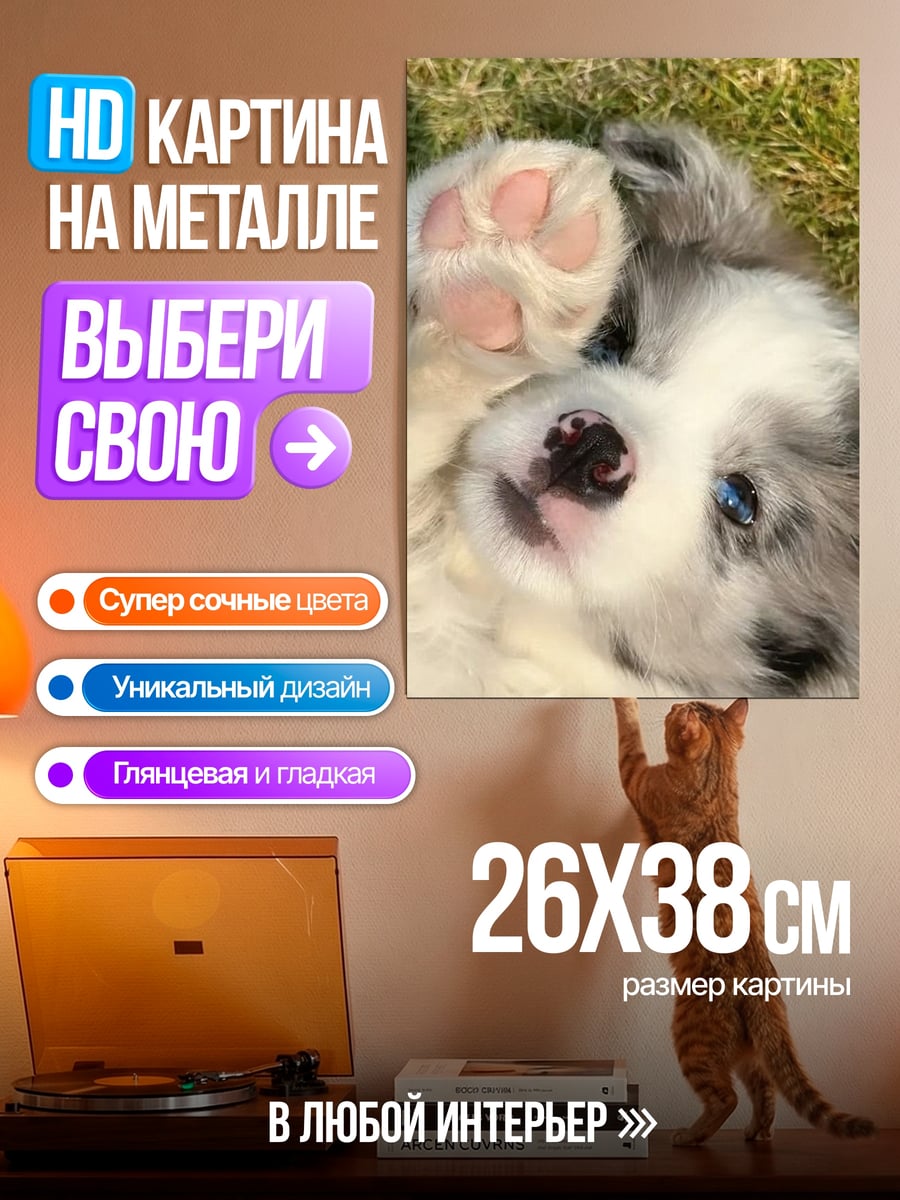 Картина на металле Щенок играет лапой