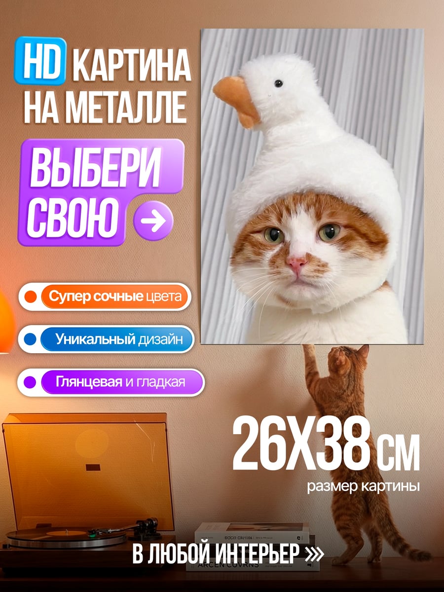 Картина на металле Кот в шапке утки