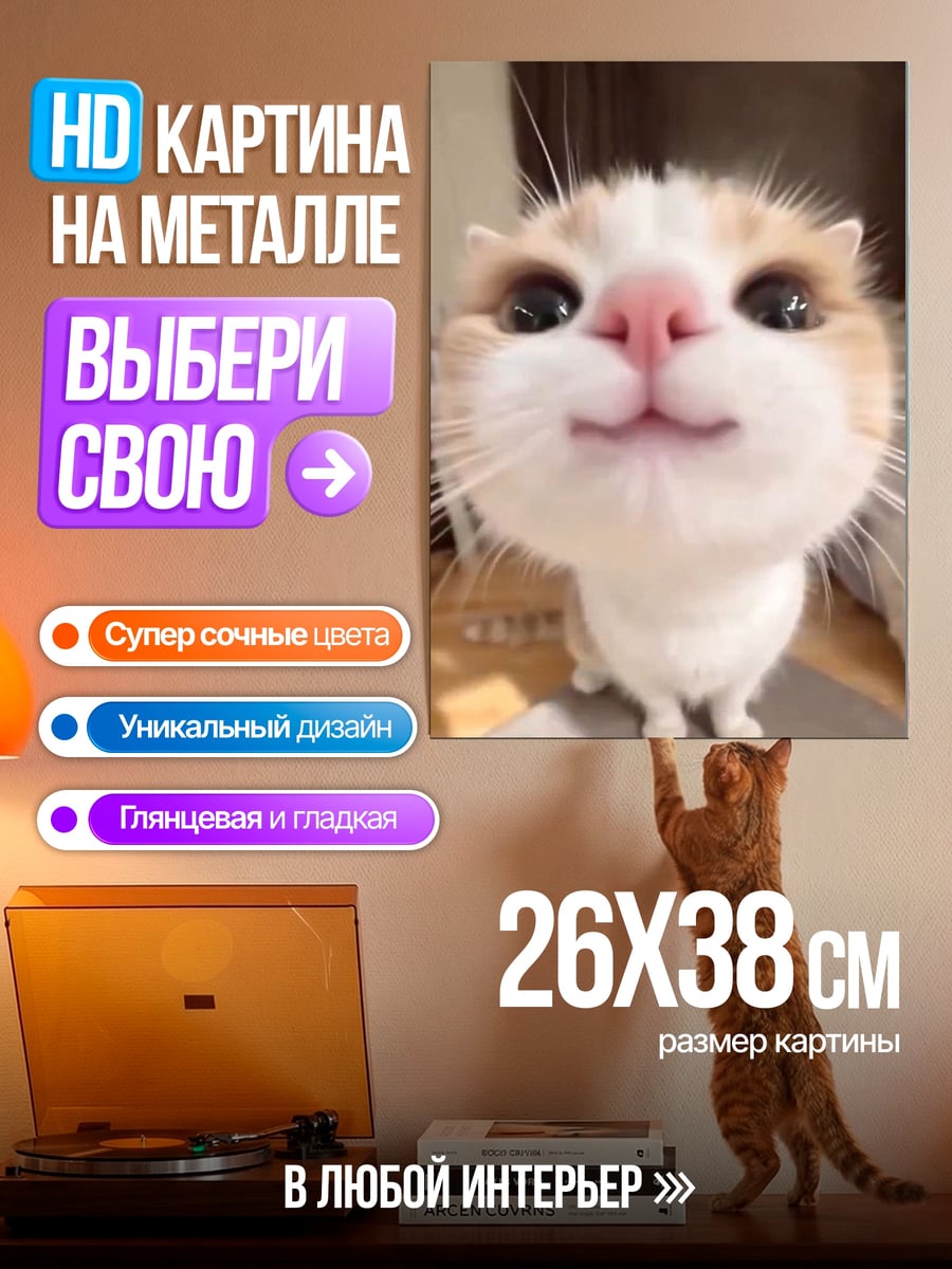 Картина на металле Крупный план кота
