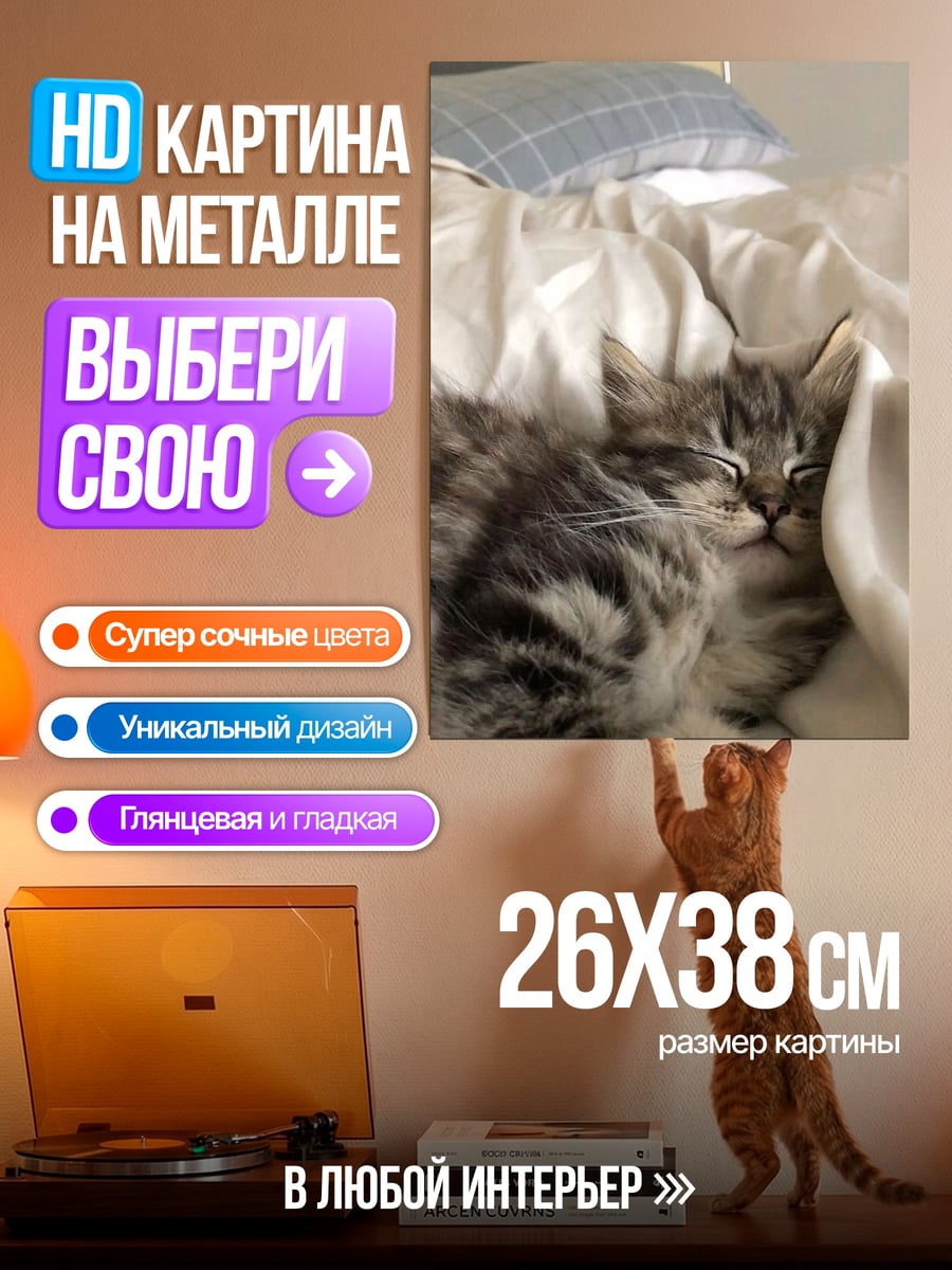 Картина на металле Два котенка спят