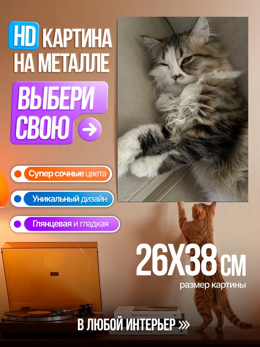 Картина на металле Кот отдыхает на диване