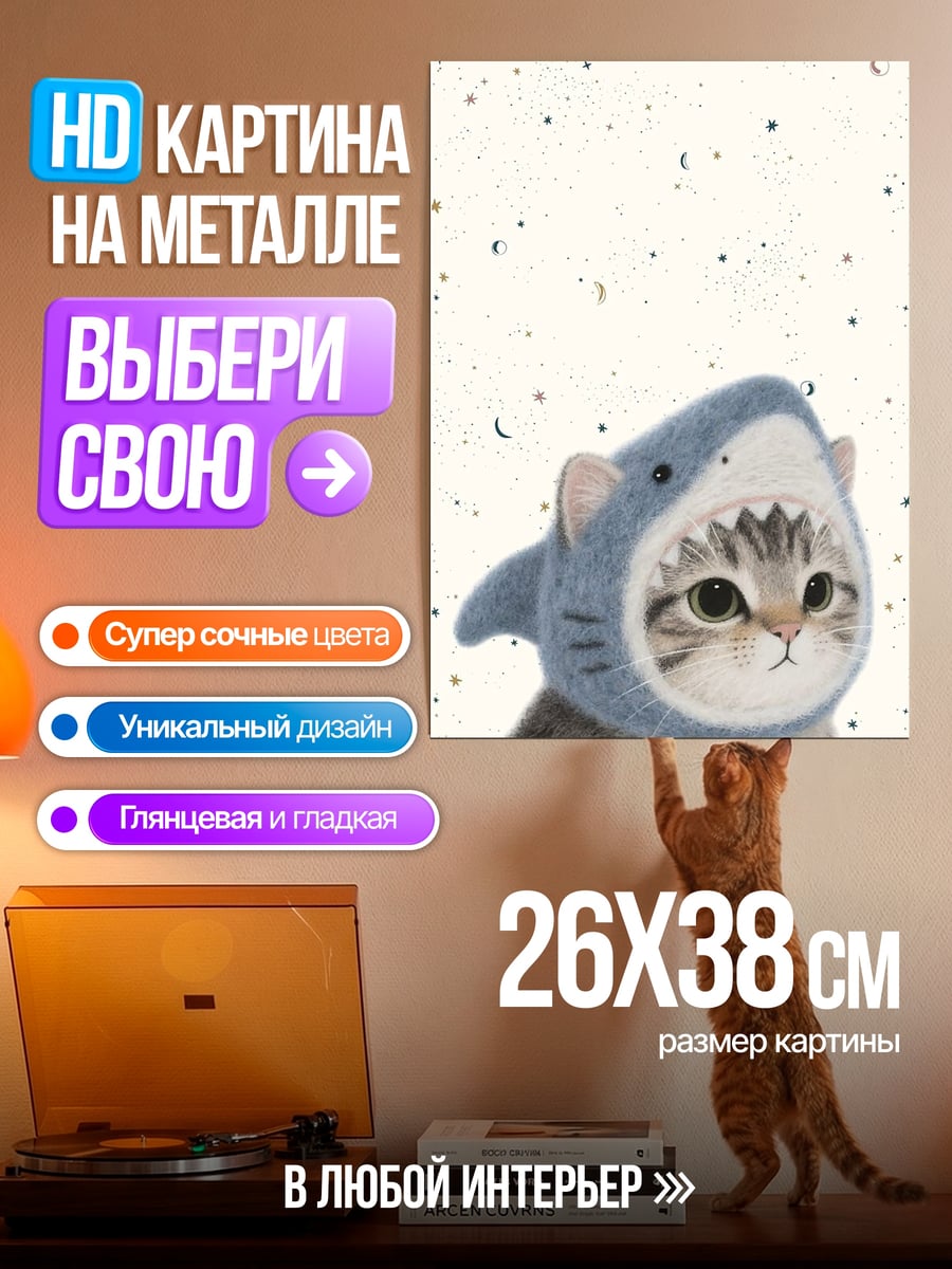 Картина на металле Кот в шапке акулы