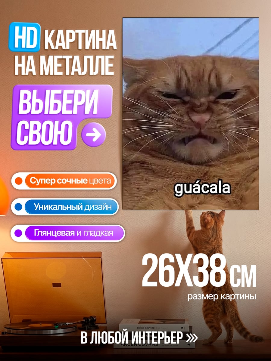 Картина на металле Кот гуала
