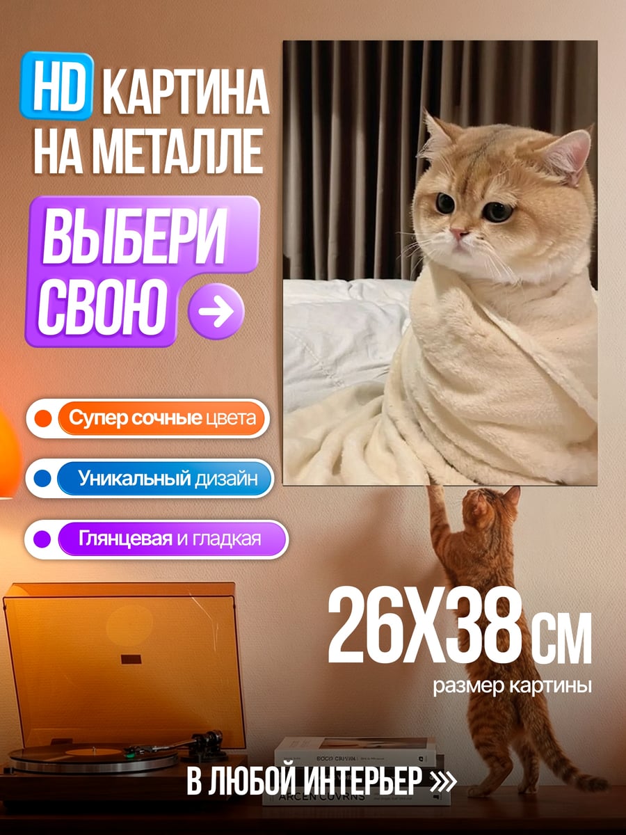 Картина на металле Кот в пледе