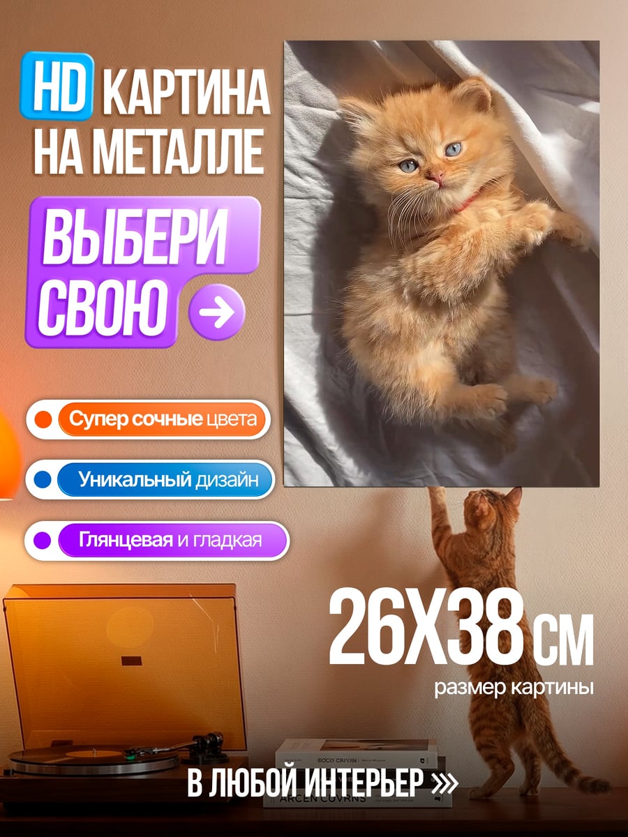 Картина на металле Рыжий котенок спит