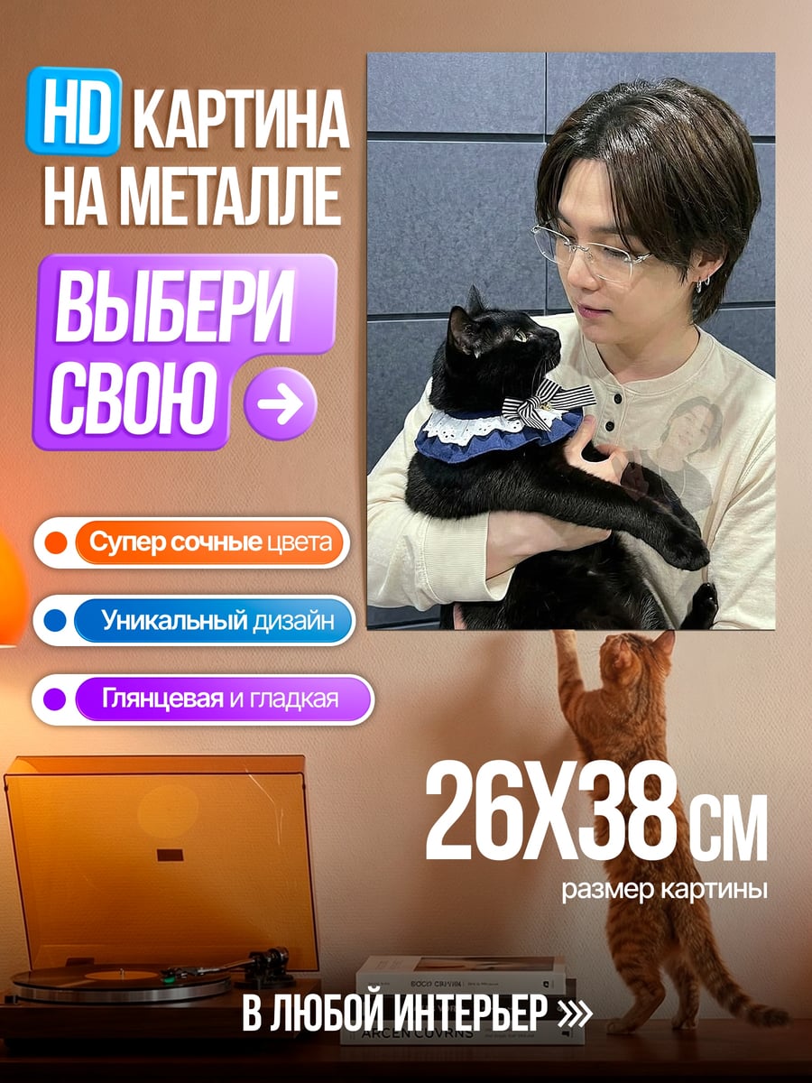 Картина на металле Мин Юнги с котом