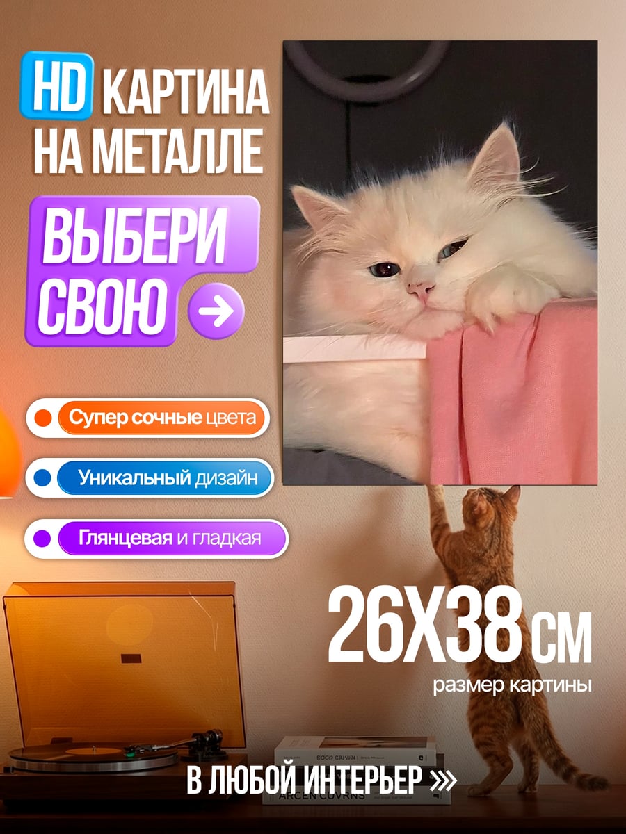 Картина на металле Пушистый кот