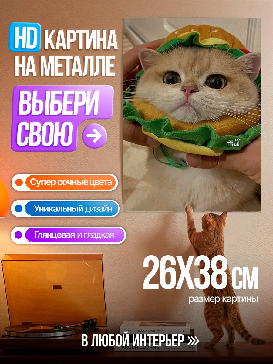 Картина на металле Кот в костюме бургера