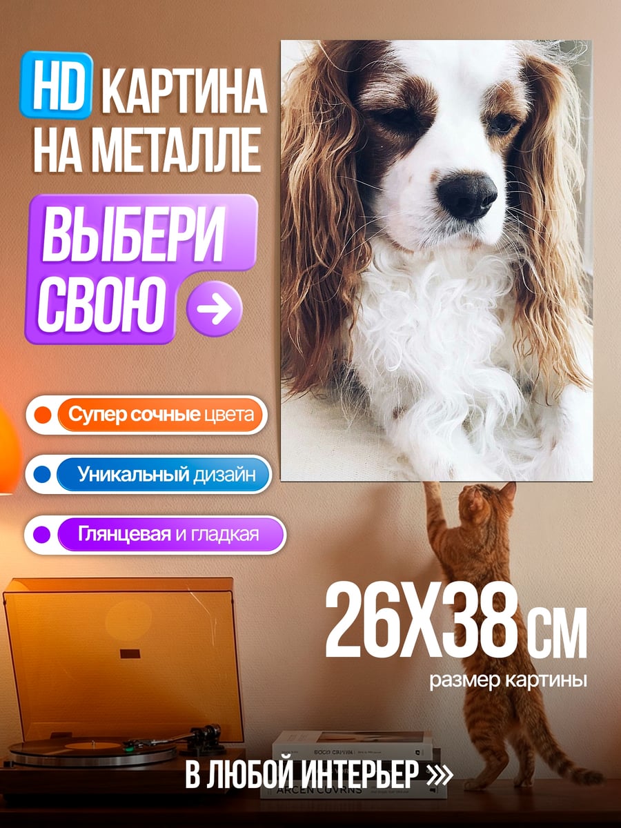 Картина на металле Рыжий спаниель