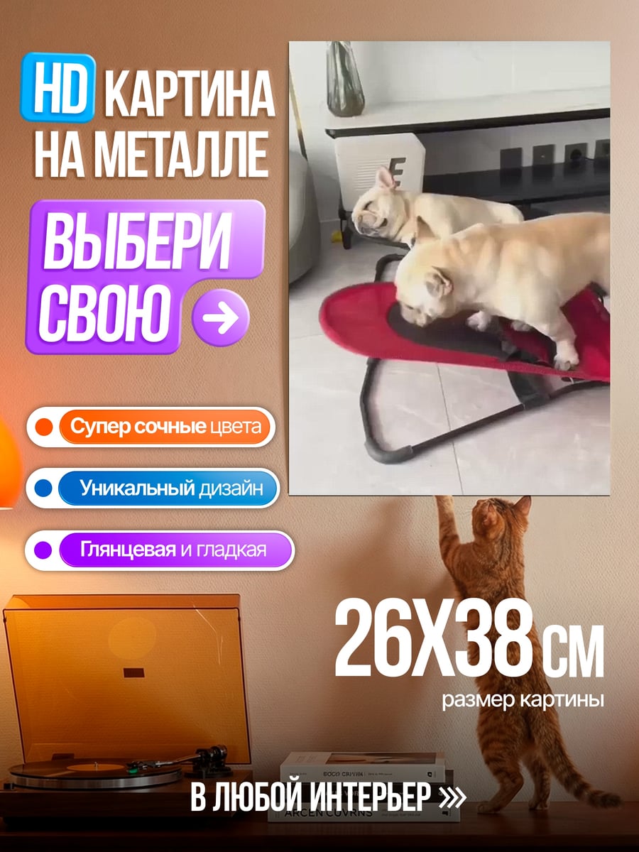 Картина на металле Две собаки едят