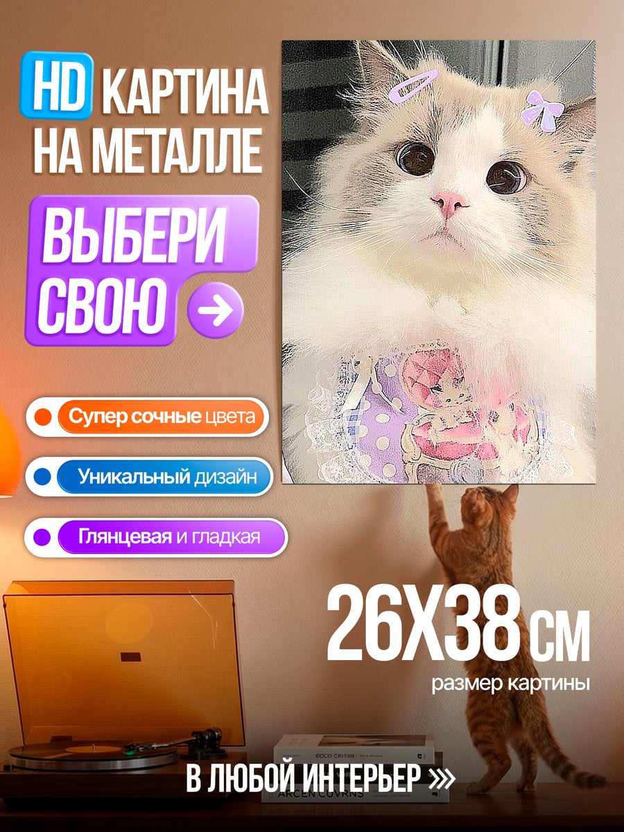 Картина на металле Пушистый котёнок