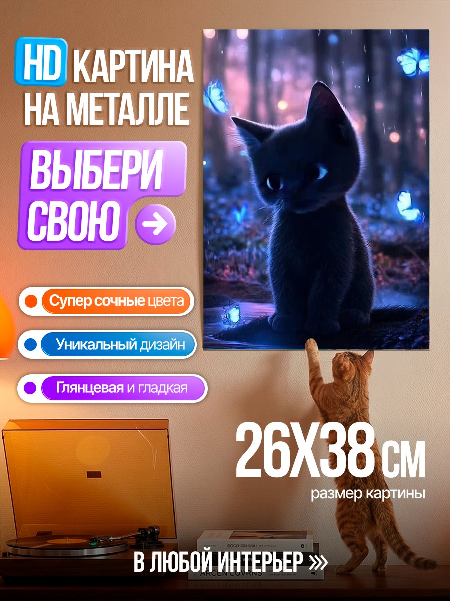 Картина на металле Черный котенок бабочки