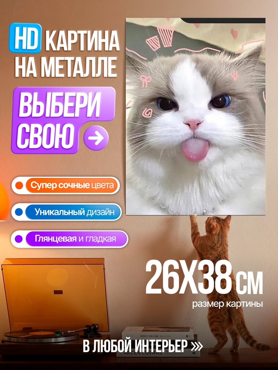 Картина на металле Кот показывает язык