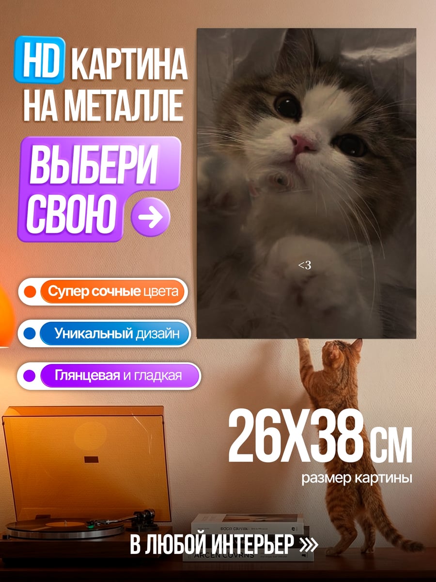 Картина на металле Кот лежит на спине