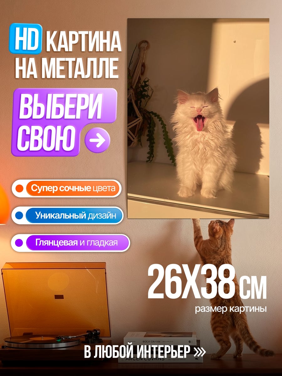 Картина на металле Зевающий котенок