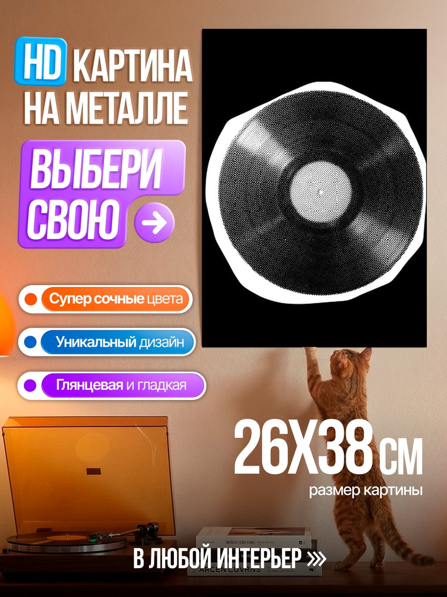 Картина на металле Виниловая пластинка