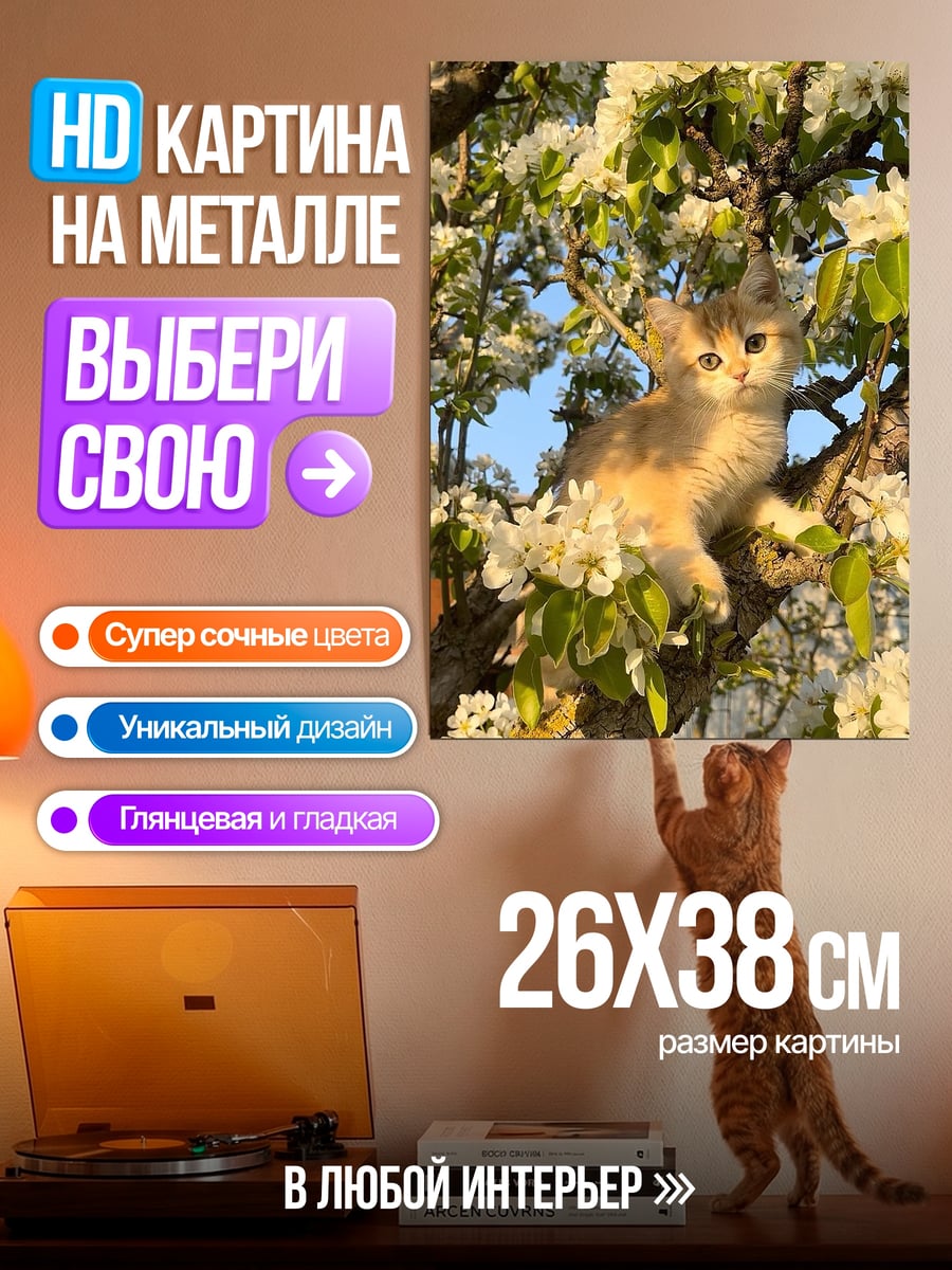 Картина на металле Котёнок в цвету
