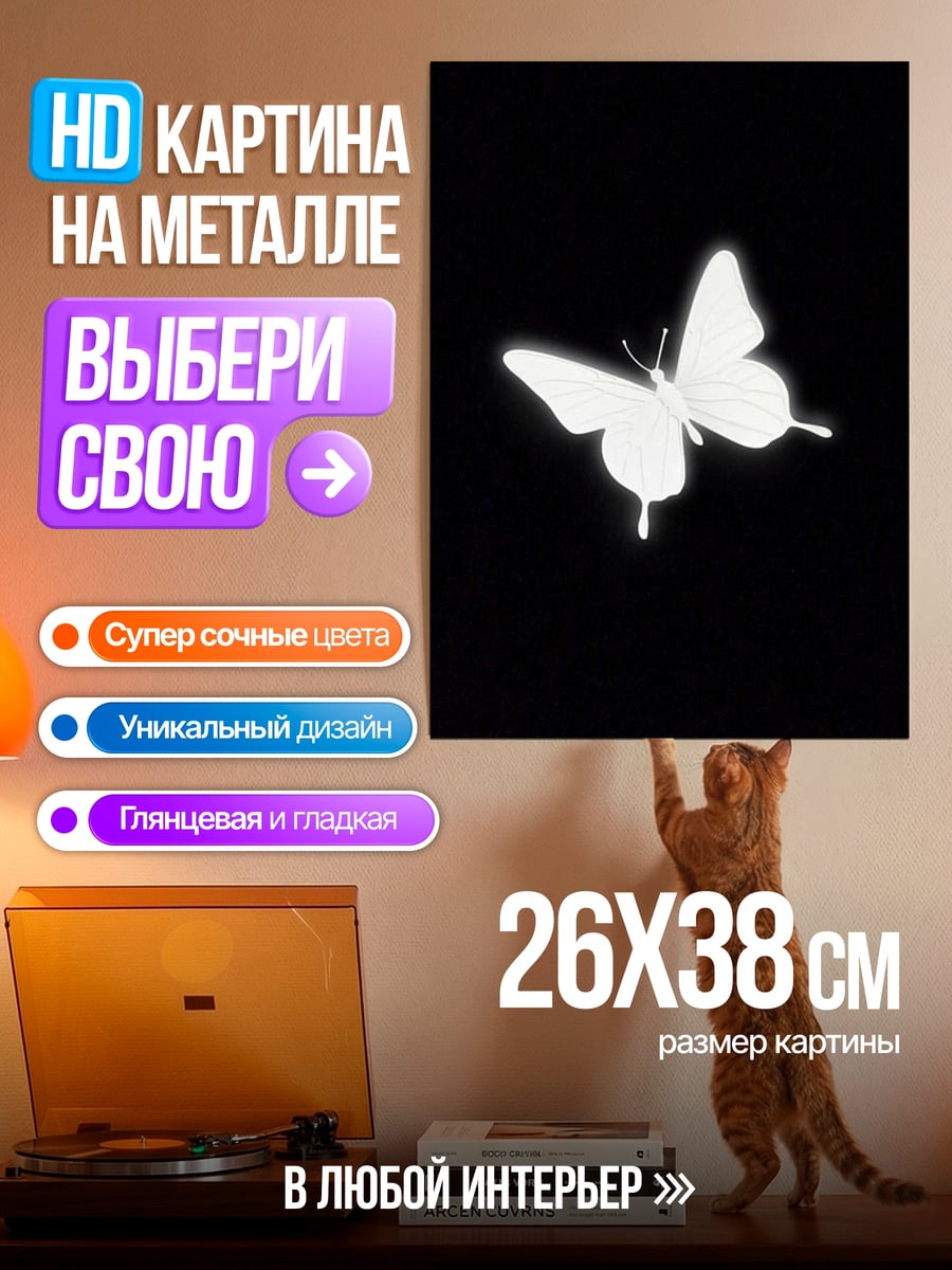 Картина на металле Белая бабочка на черном
