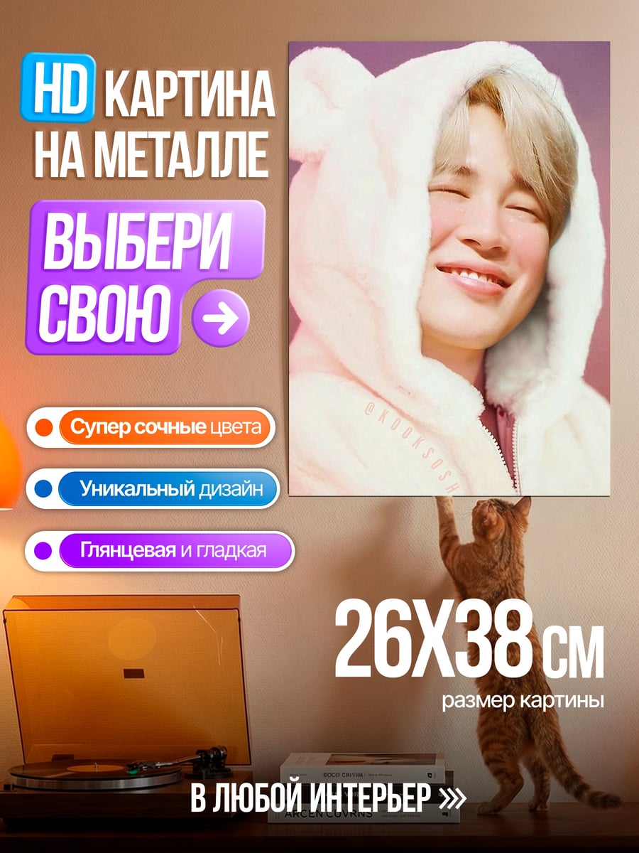 Картина на металле Чимин в плюшевом худи