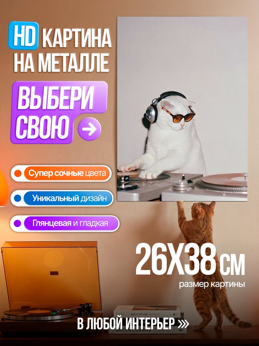 Картина на металле Кот диджей