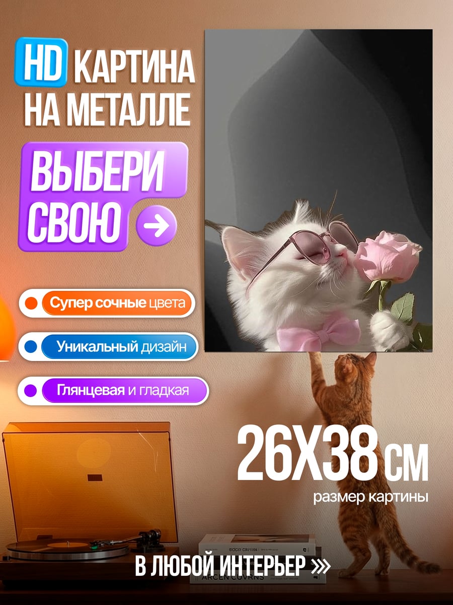 Картина на металле Котенок в очках