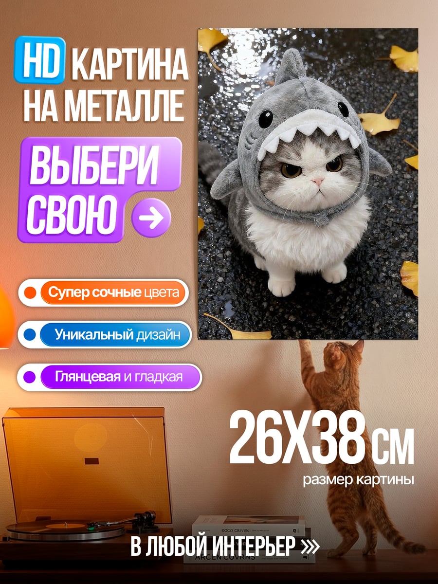 Картина на металле Кот в костюме акулы