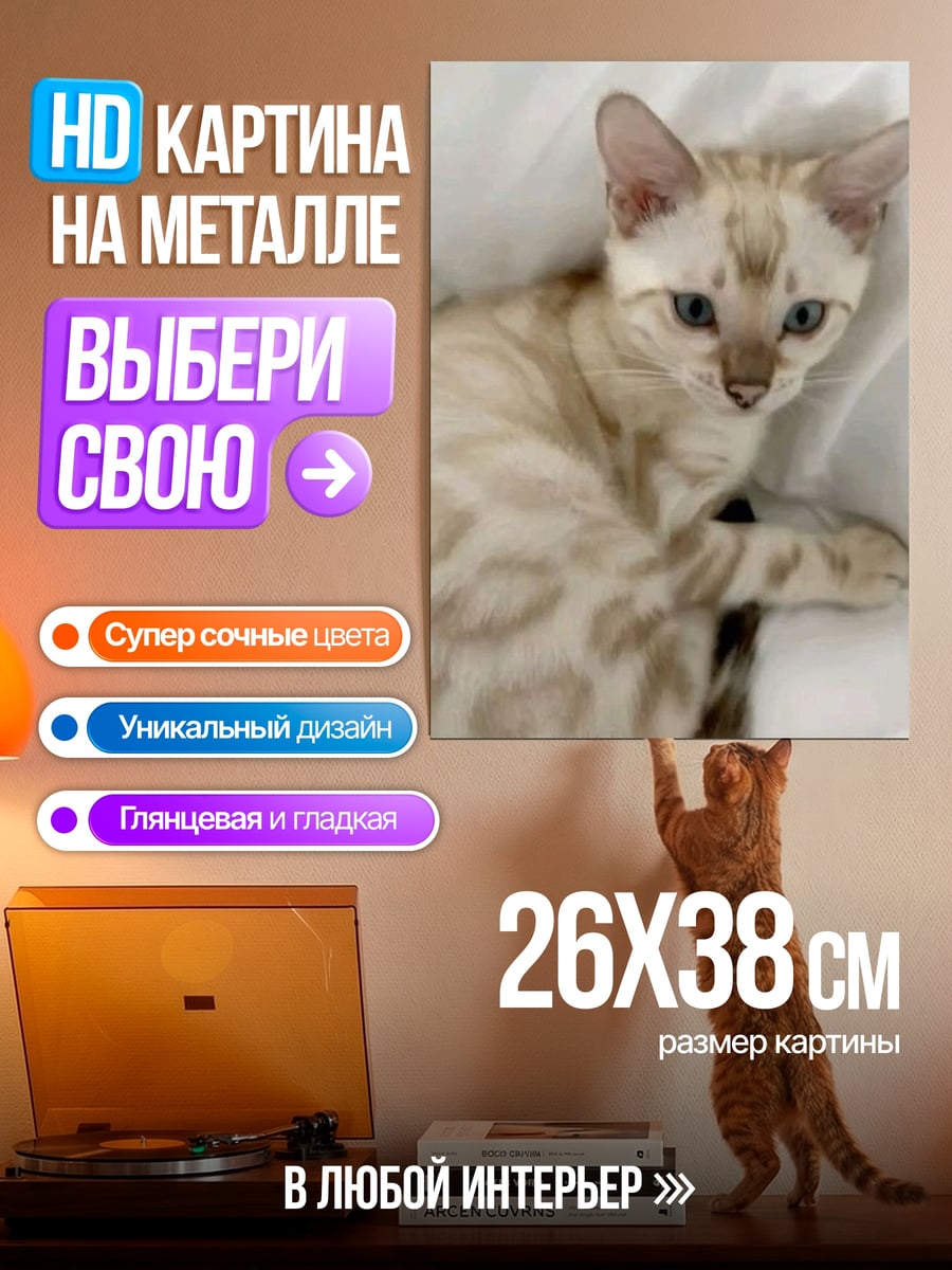 Картина на металле Бенгальский котенок