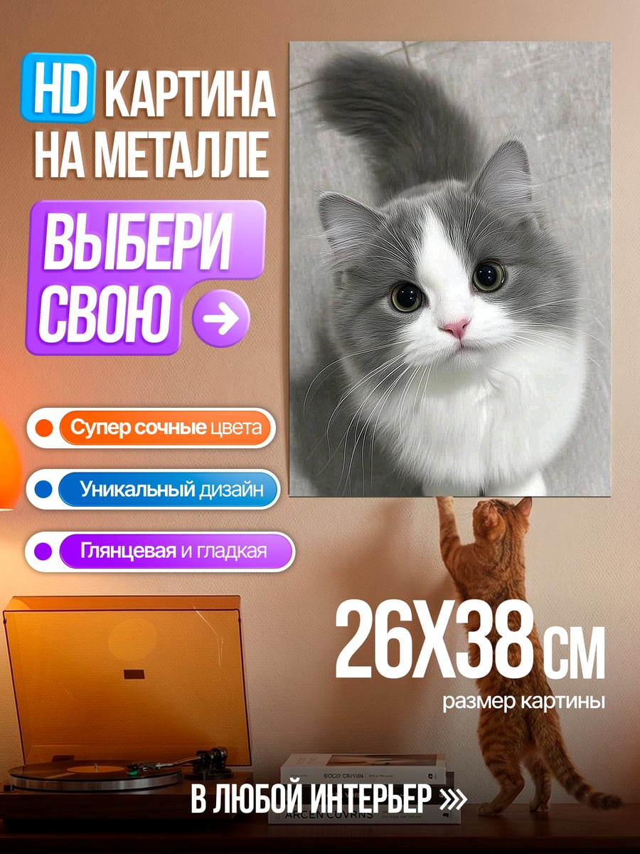 Картина на металле Пушистый котёнок