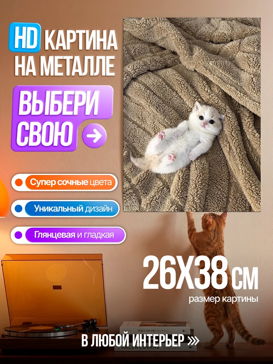 Картина на металле Котёнок на пледе