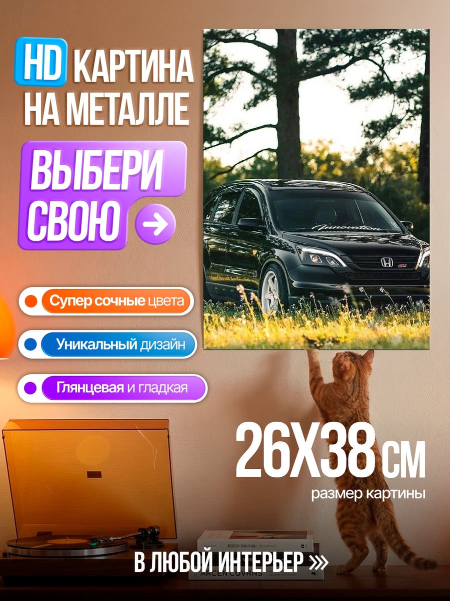 Картина на металле Черный кроссовер на траве
