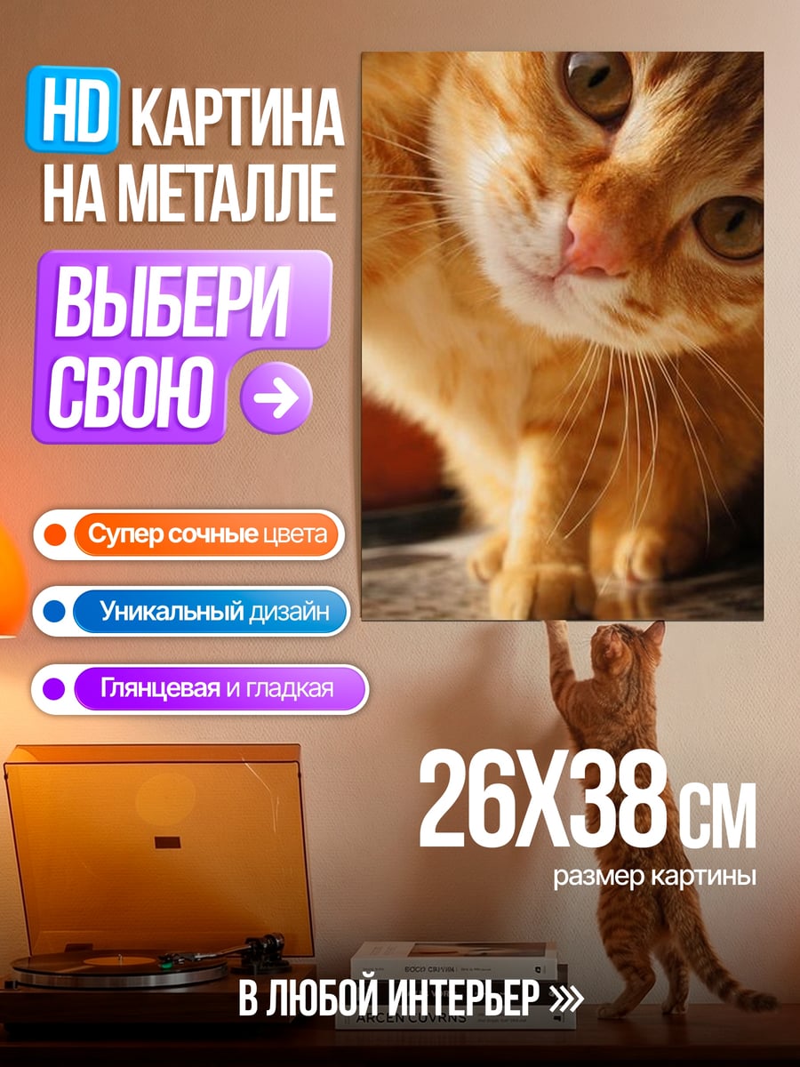 Картина на металле Рыжий кот смотрит