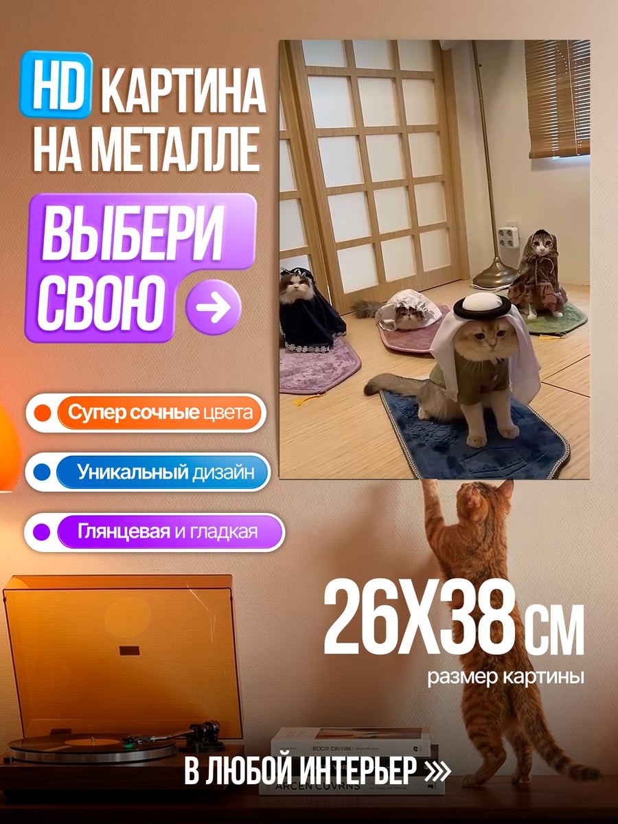 Картина на металле Коты в одежде