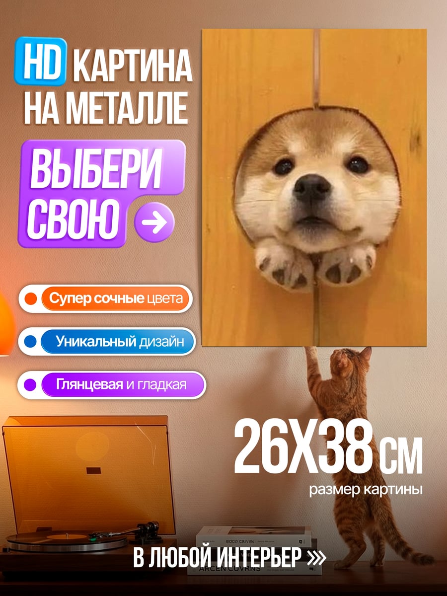 Картина на металле Милый щенок сиба-ину
