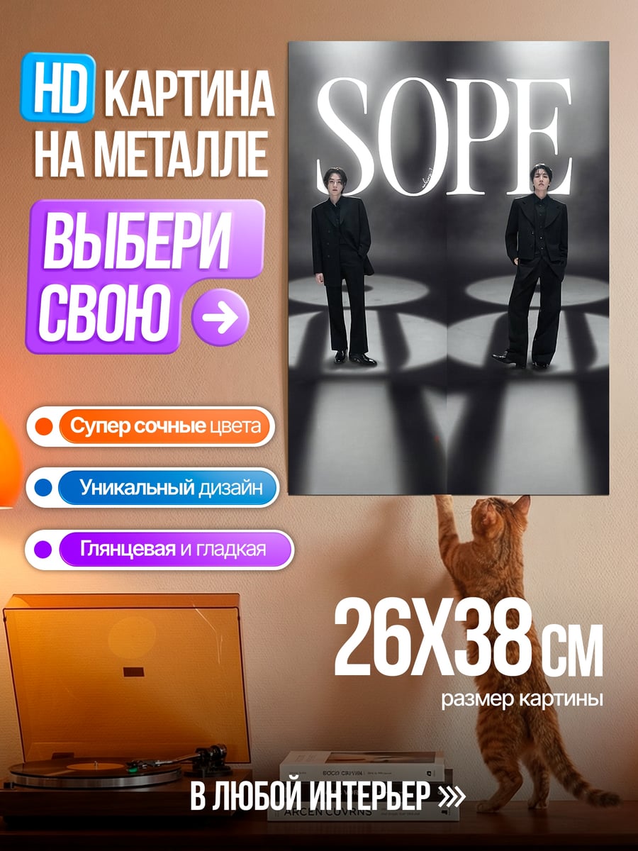 Картина на металле SOPE дуэт