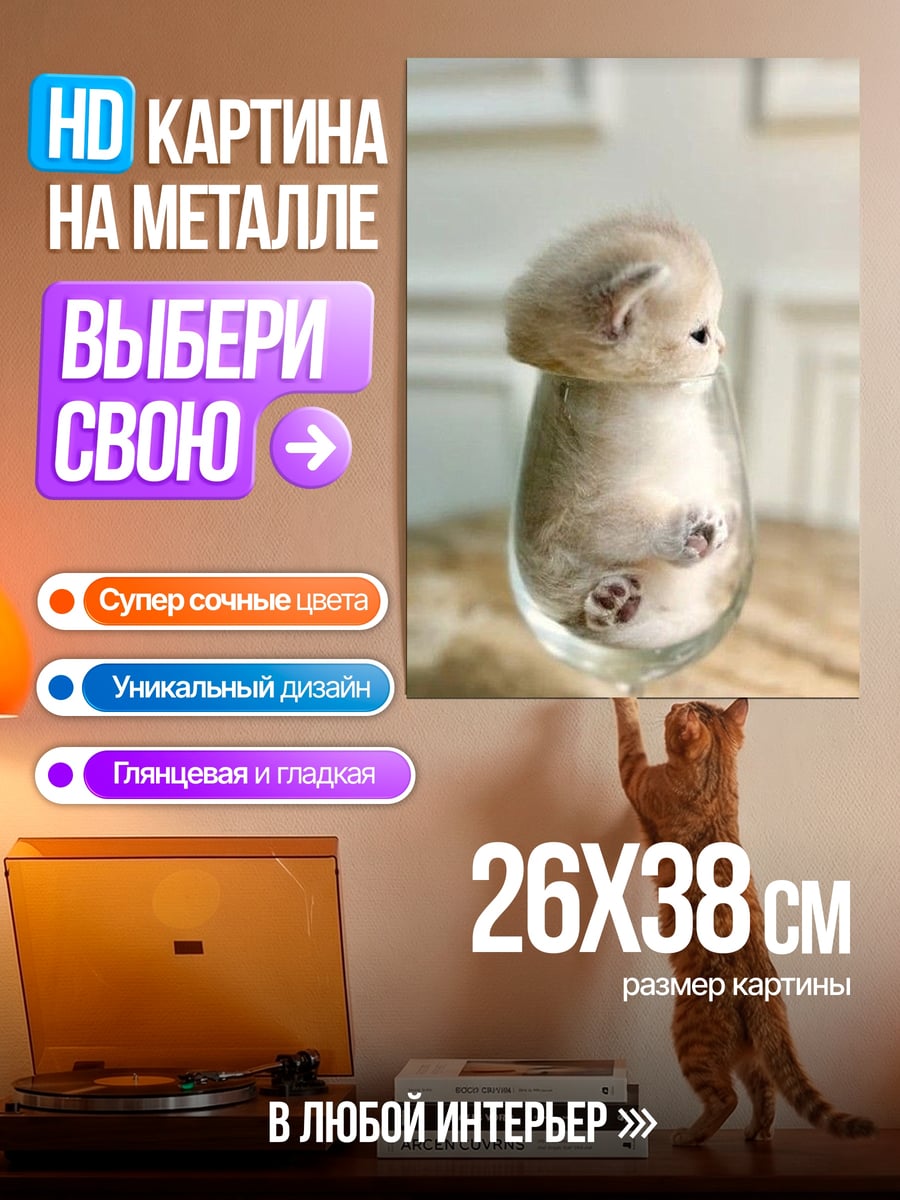 Картина на металле Котёнок в бокале