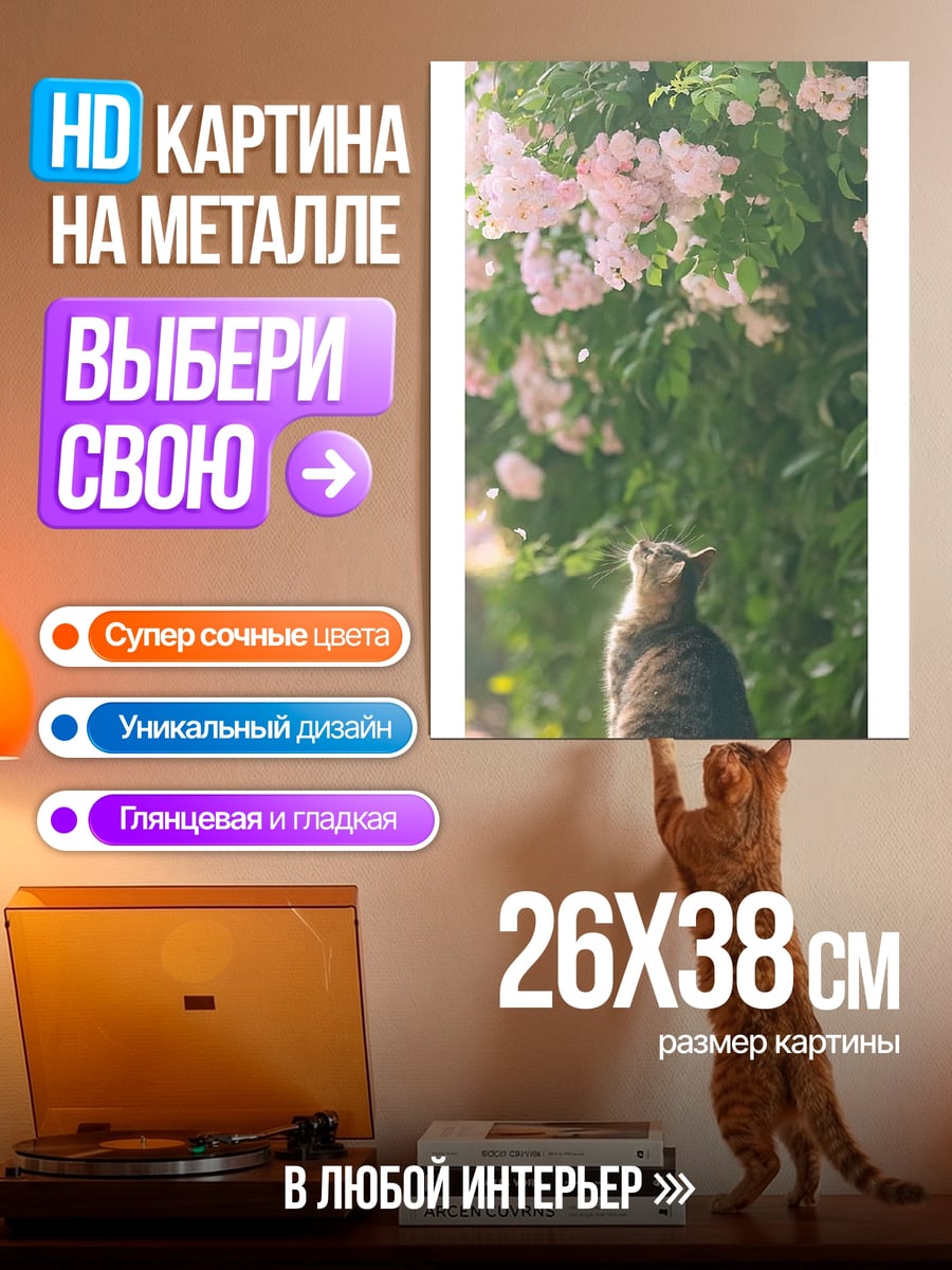 Картина на металле Кот и розы