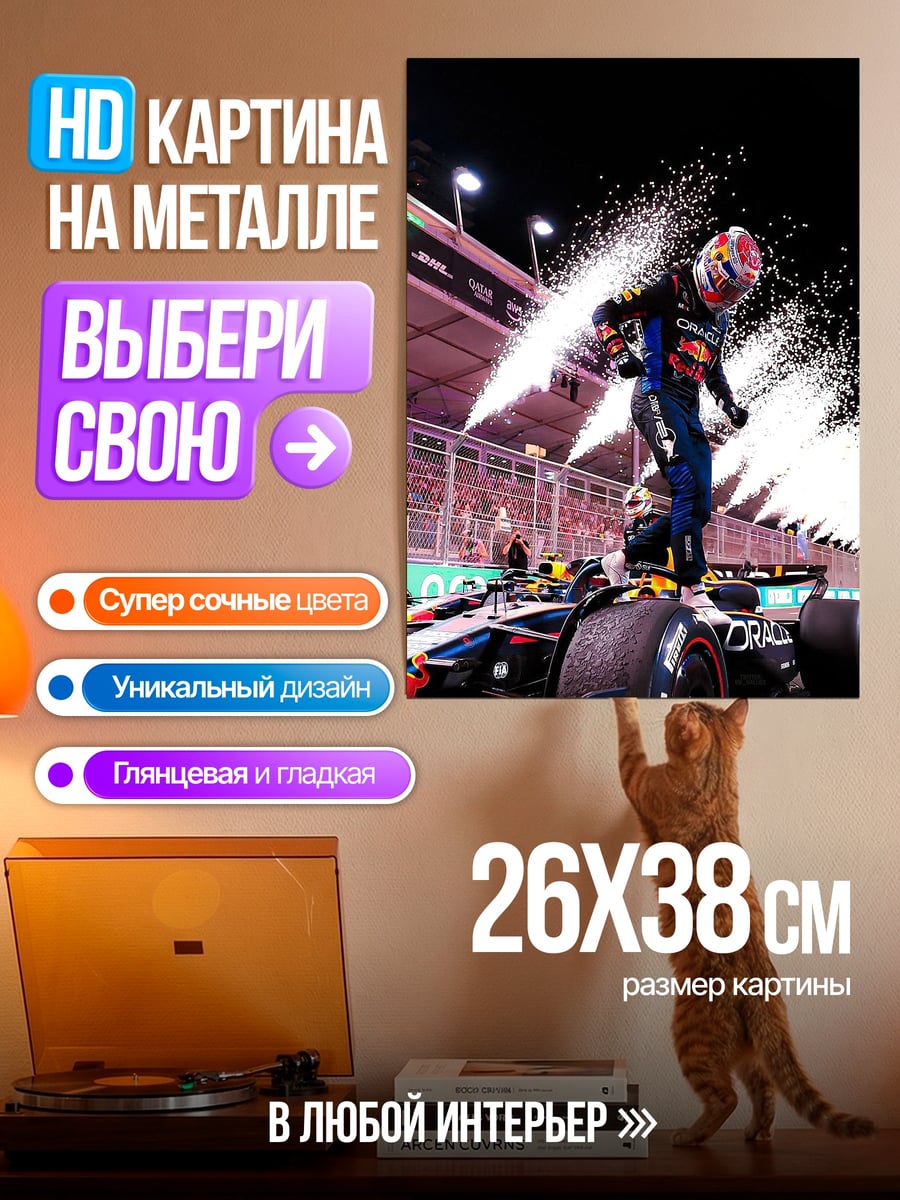 Картина на металле Гонщик побеждает в гонке