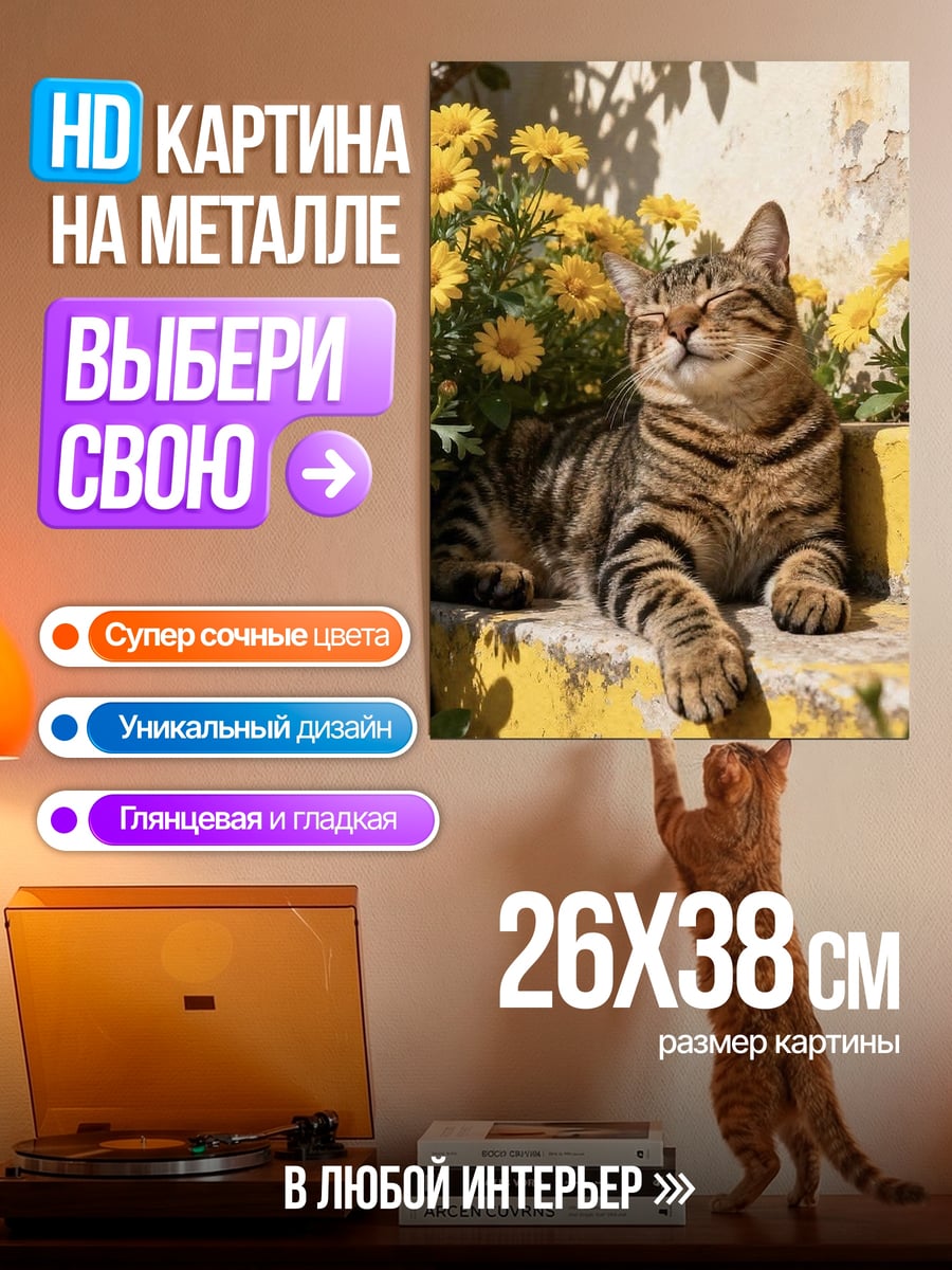 Картина на металле Кот на солнце