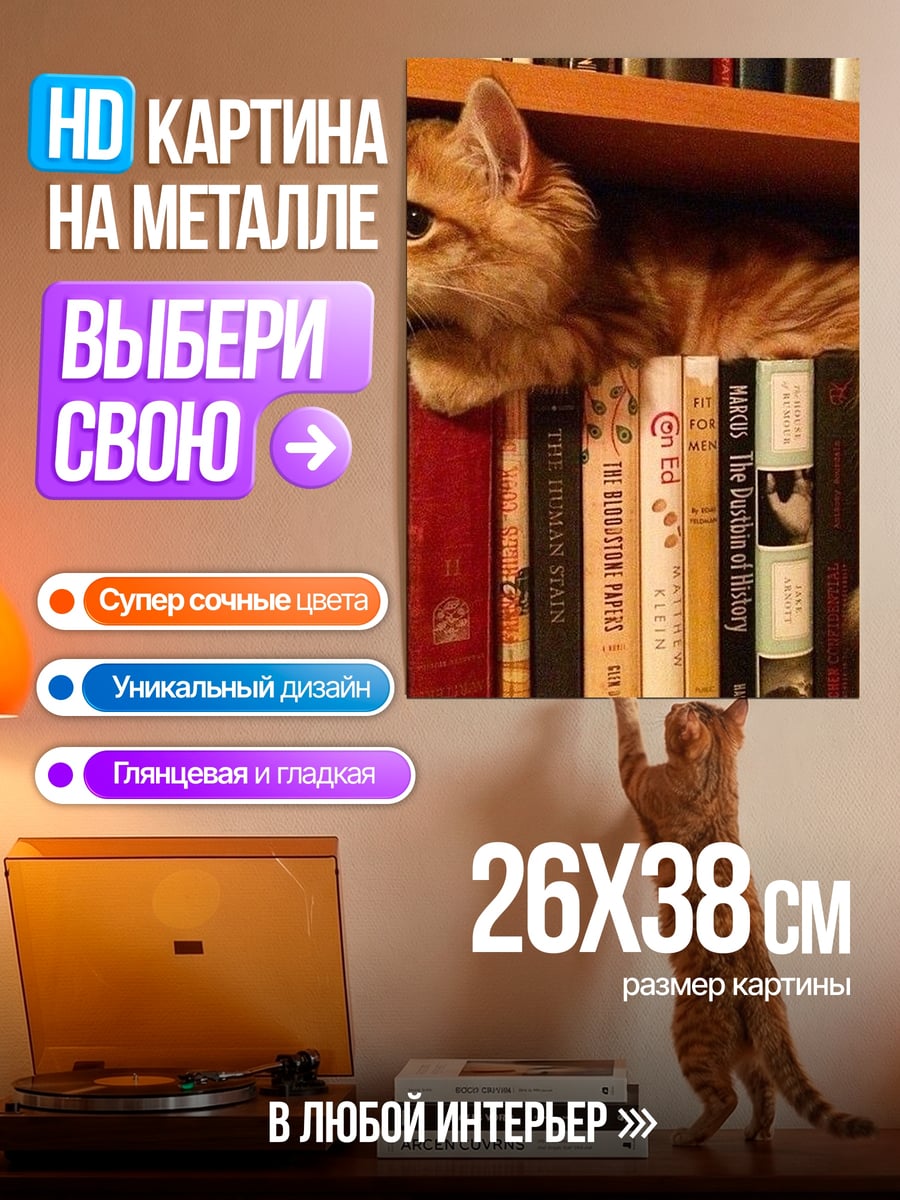 Картина на металле Кот на книжной полке