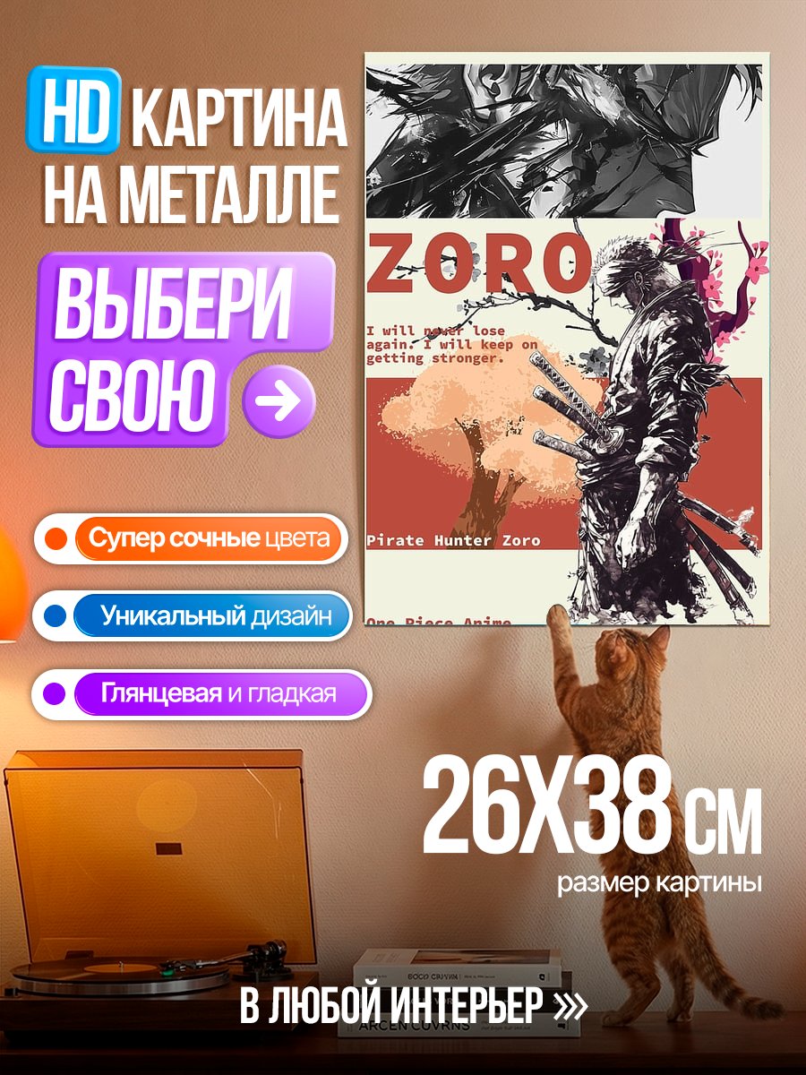 Картина на металле Зоро Охотник на пиратов