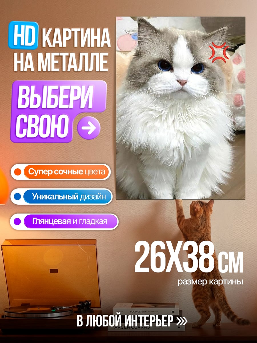 Картина на металле Пушистый кот