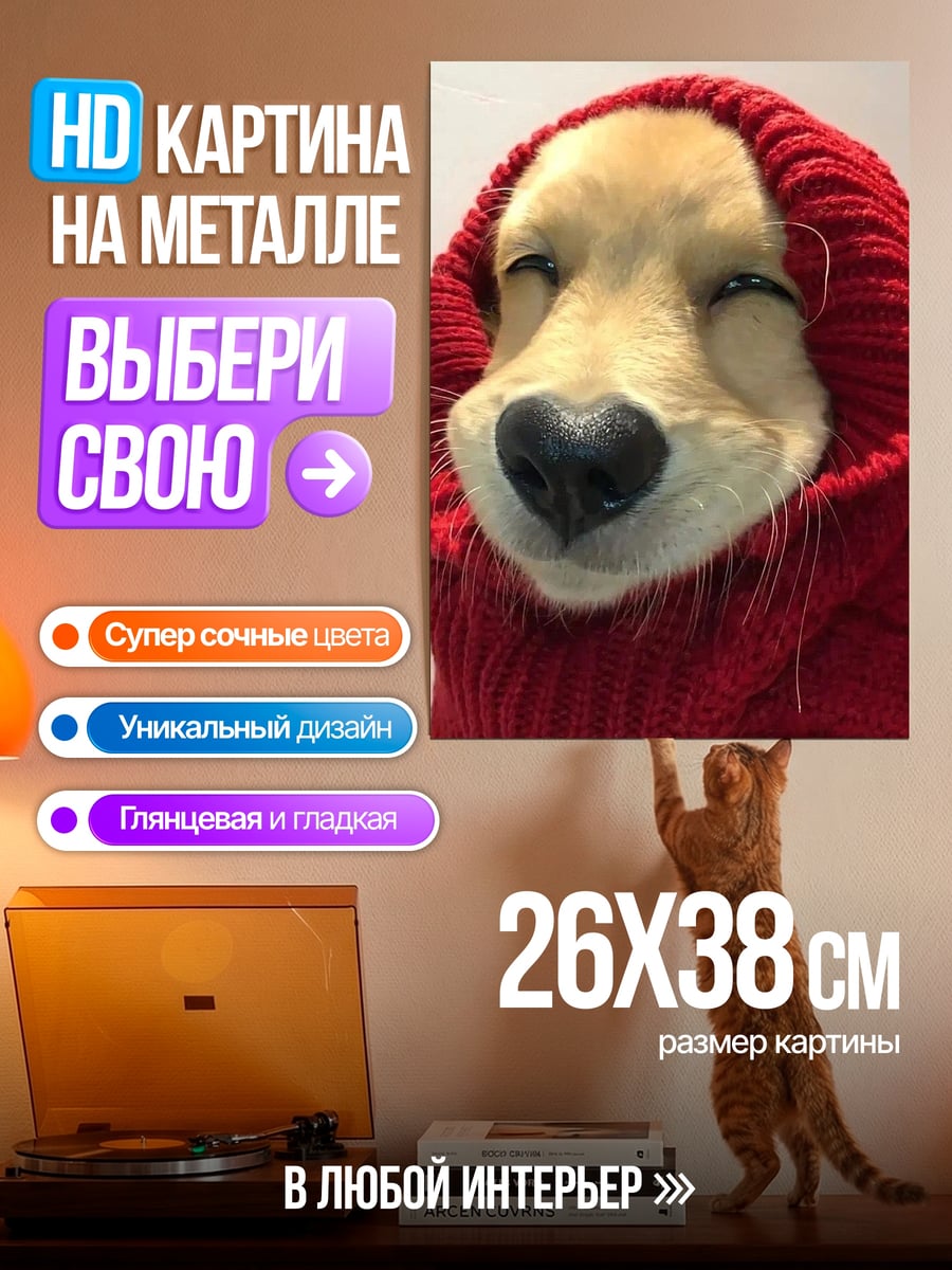Картина на металле Собака в красном капюшоне