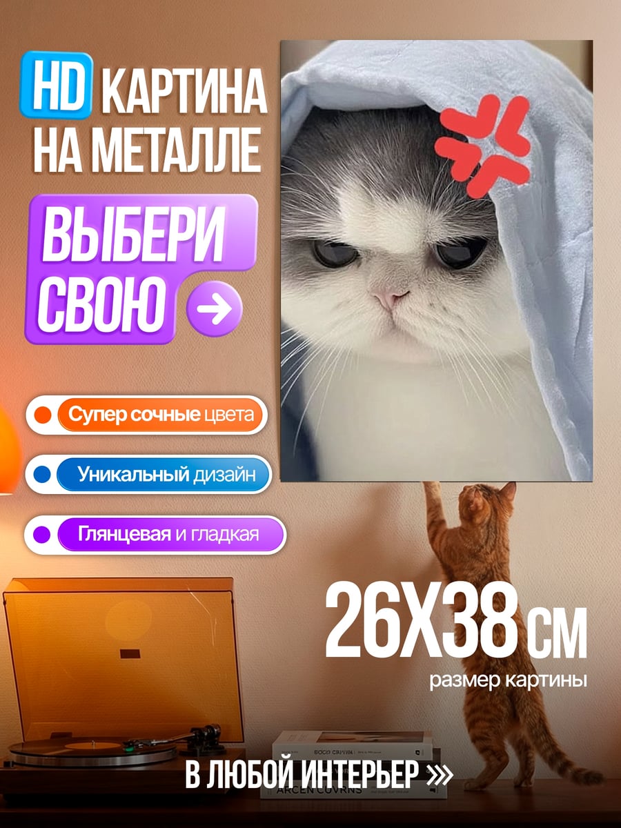 Картина на металле Злой котик