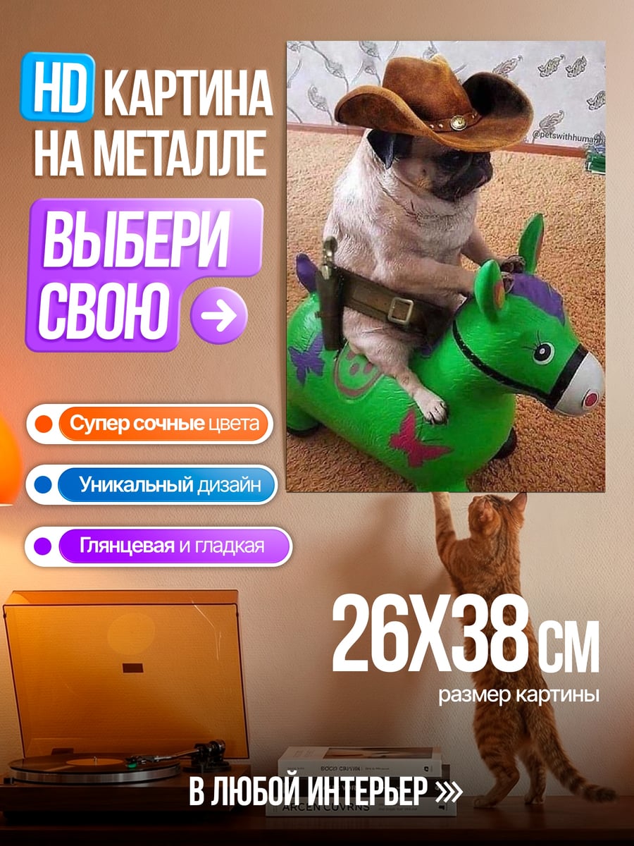 Картина на металле Мопс ковбой на коне