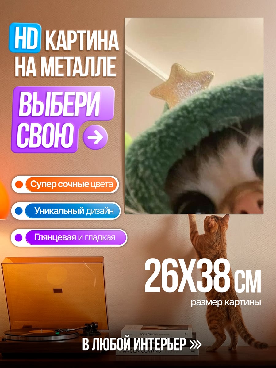 Картина на металле Милый котик в шапке
