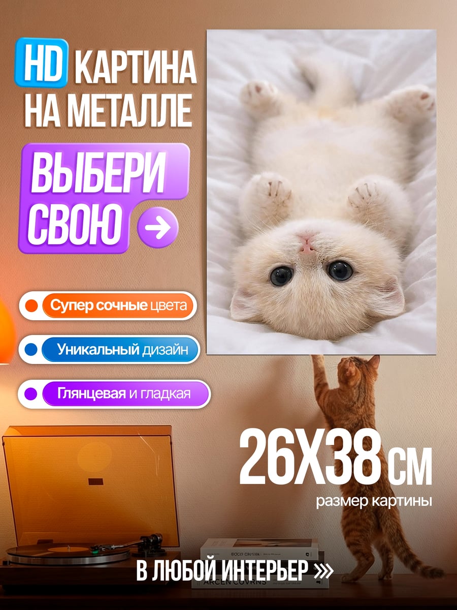Картина на металле Пушистый котенок