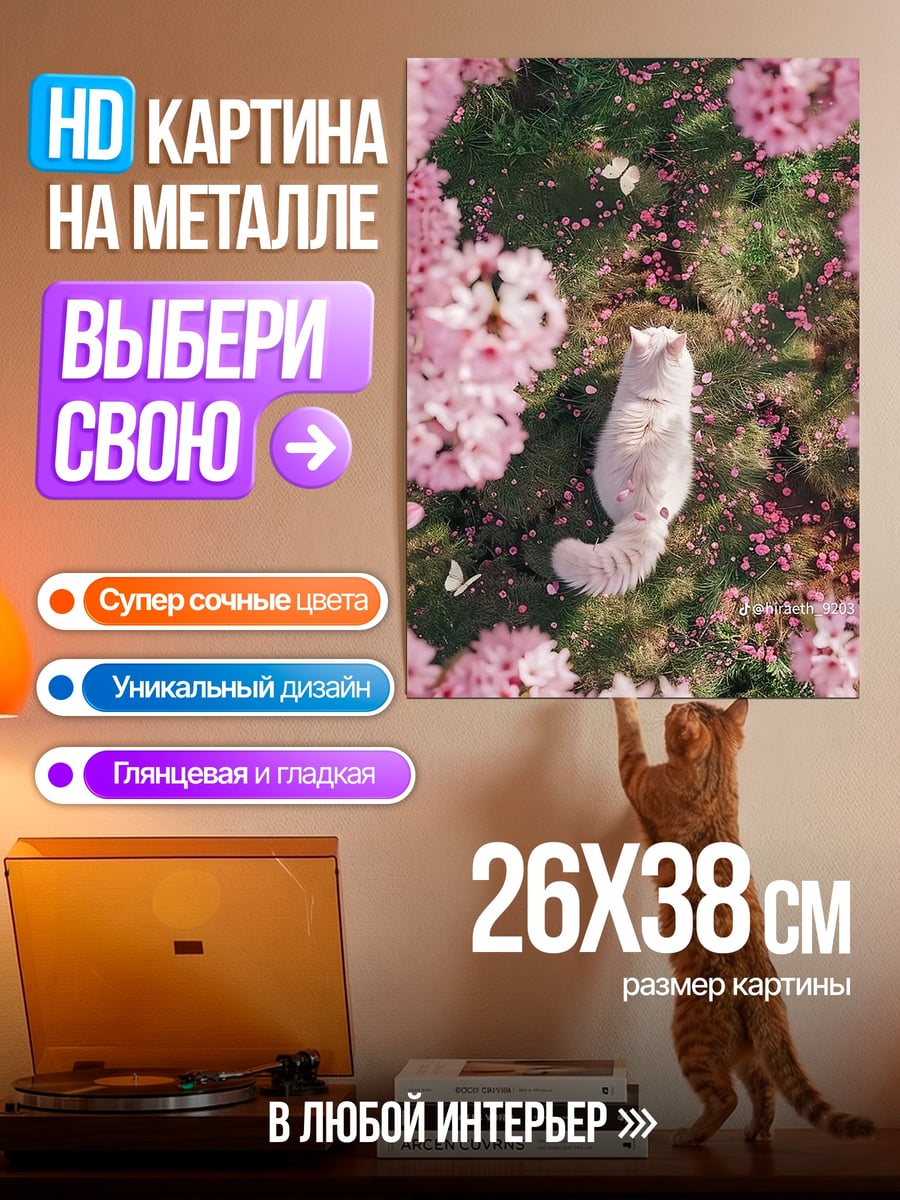Картина на металле Кот в сакуре